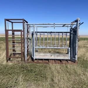 Cattle Squeeze W/ Rear Extension Cage