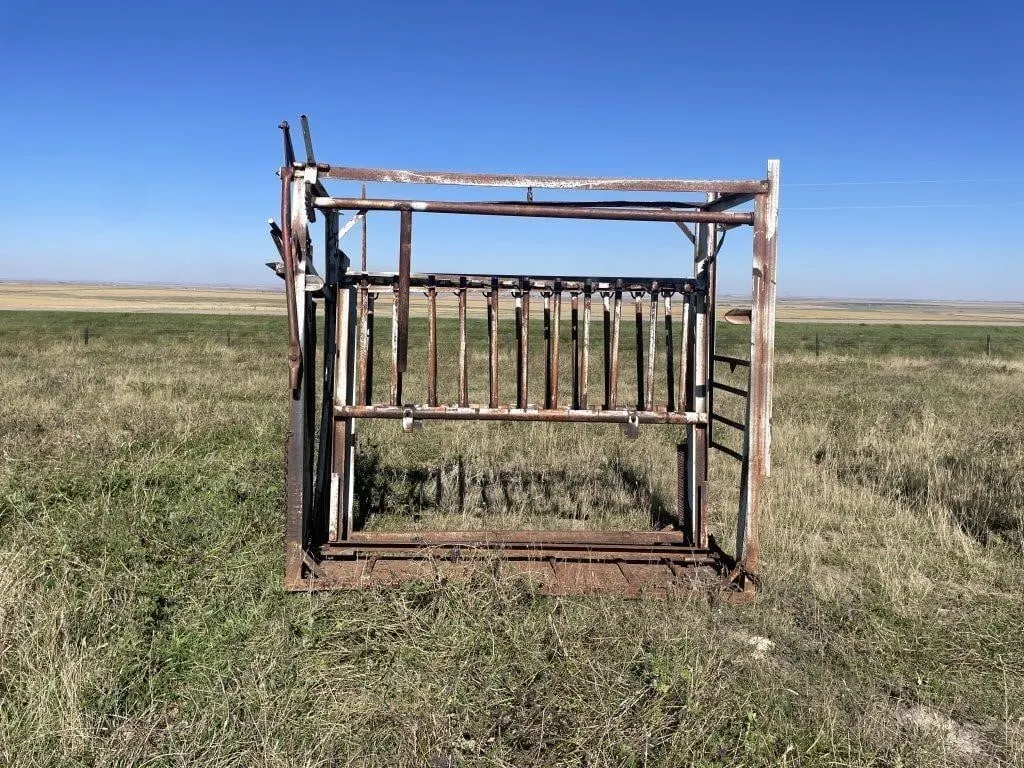 Cattle Squeeze