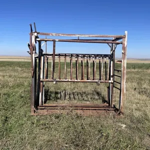 Cattle Squeeze