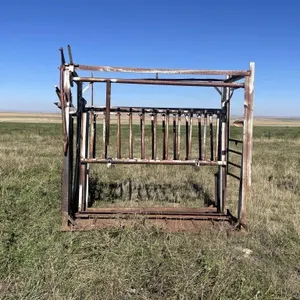 Cattle Squeeze