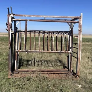 Cattle Squeeze