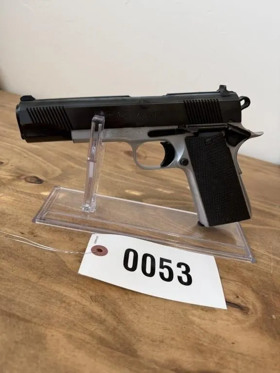 Firestorm .45 GOV'T