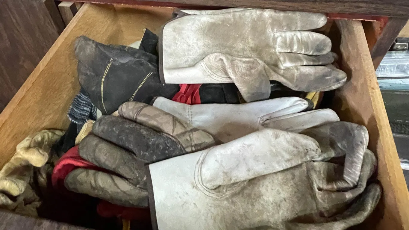 Glove Lot
