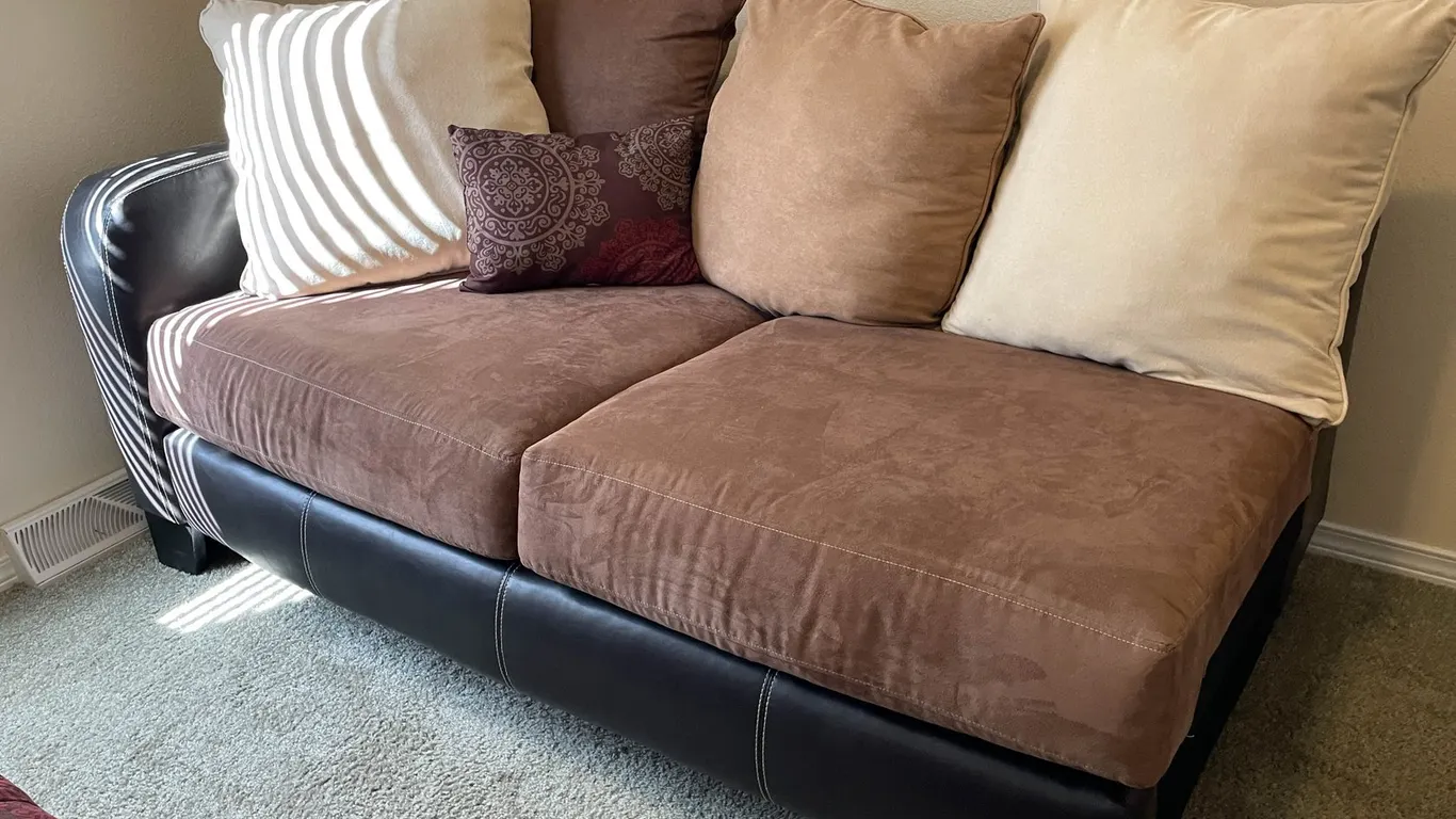 Sofa Couch with Cushions