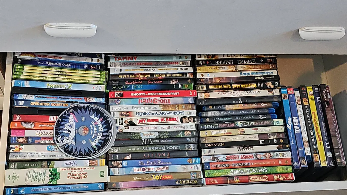 DVD Collection Including Animation and Feature Films