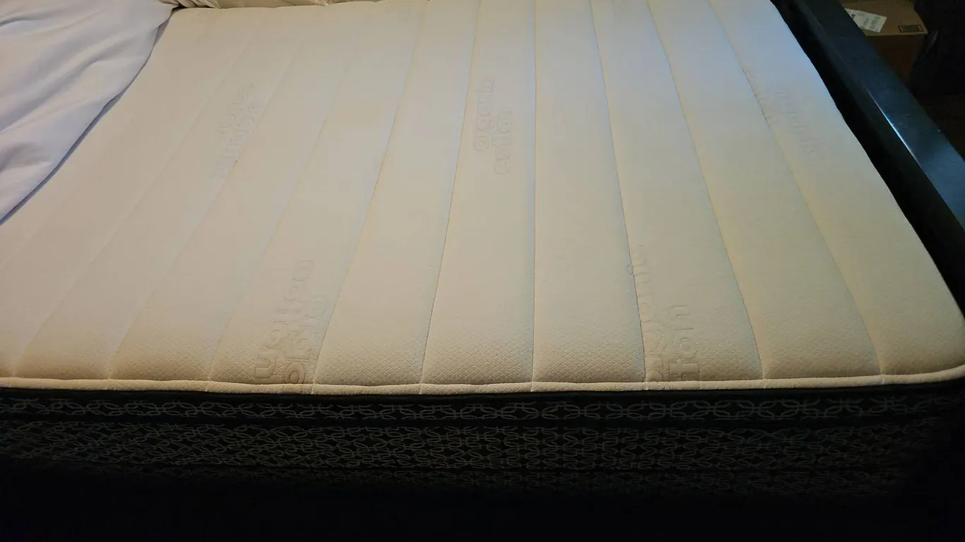 Double Organic Cotton Mattress with Cover