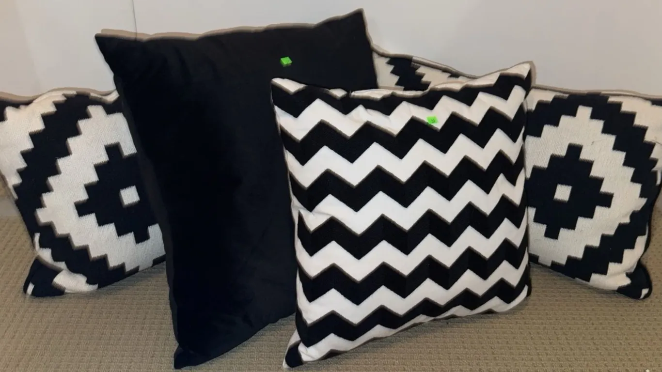 Five Black and White Throw Pillows, Large and Small