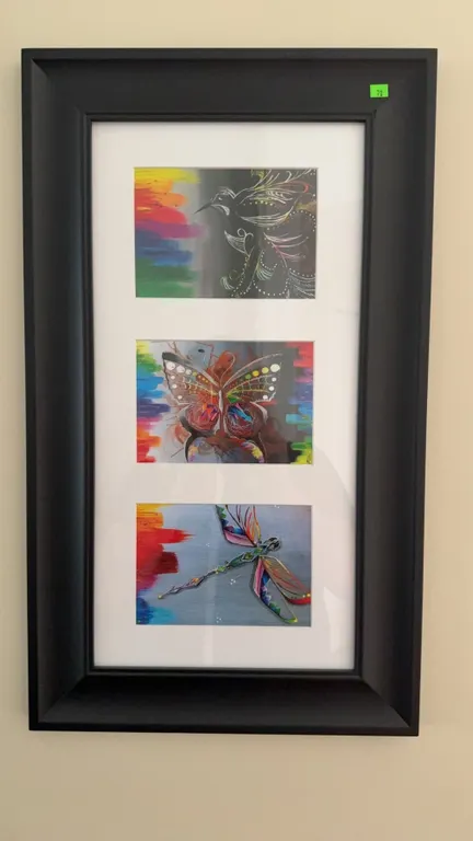 Framed Set of Three Colourful Butterfly and Dragonfly Prints