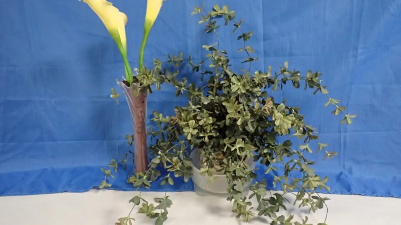 Faux Calla Lilies and Eucalyptus Arrangements