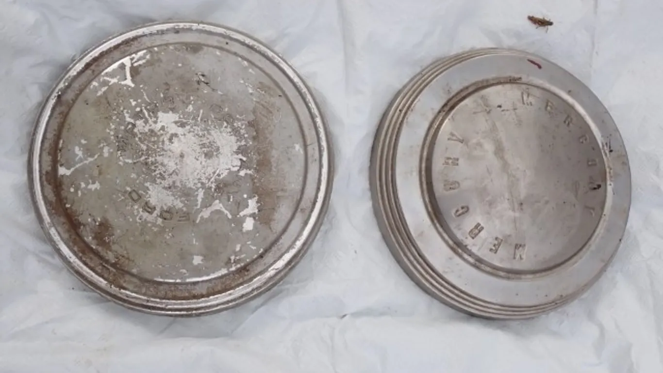 Vintage Mercury and Ford Hubcaps