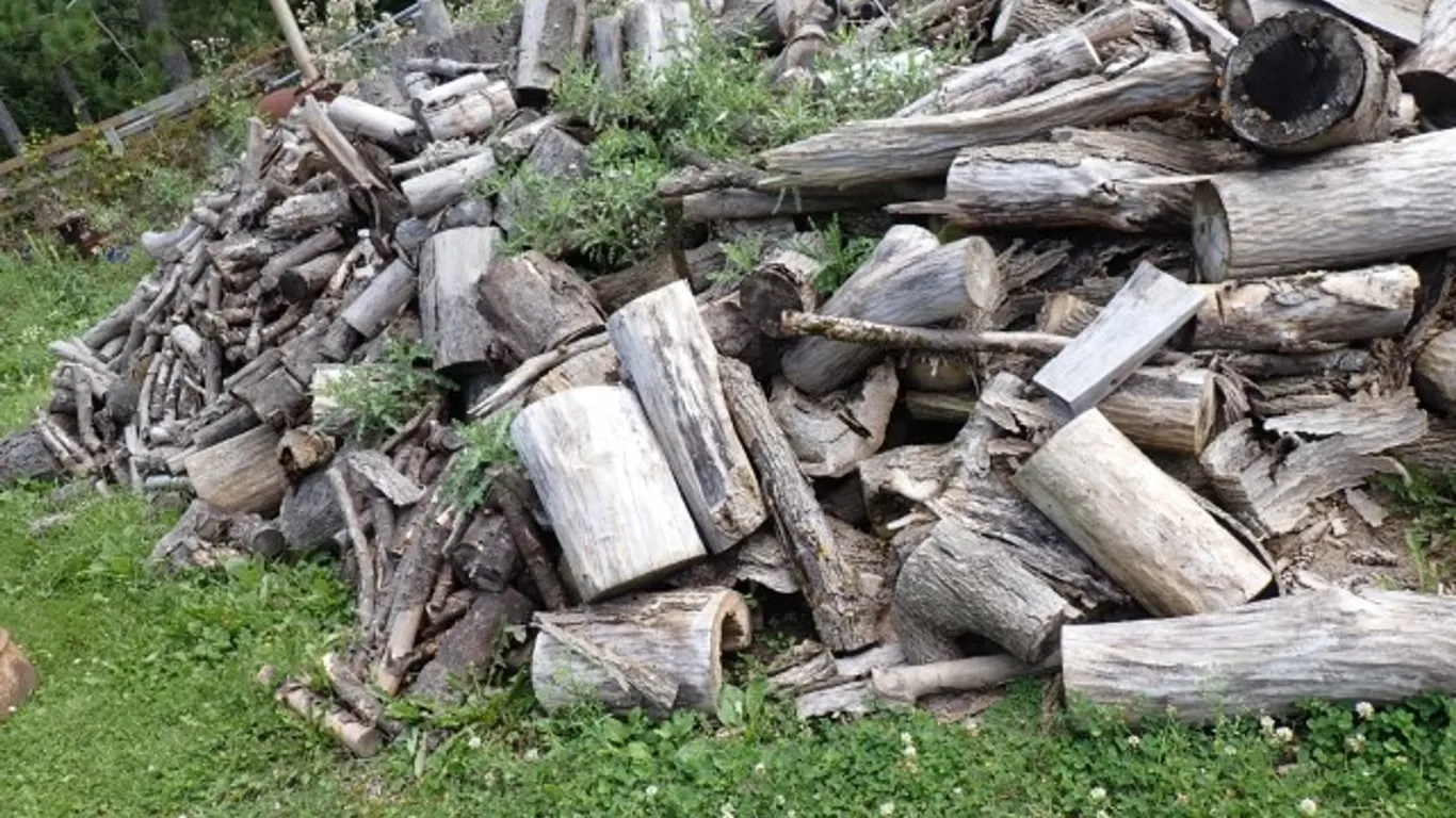 Pile of Wood
