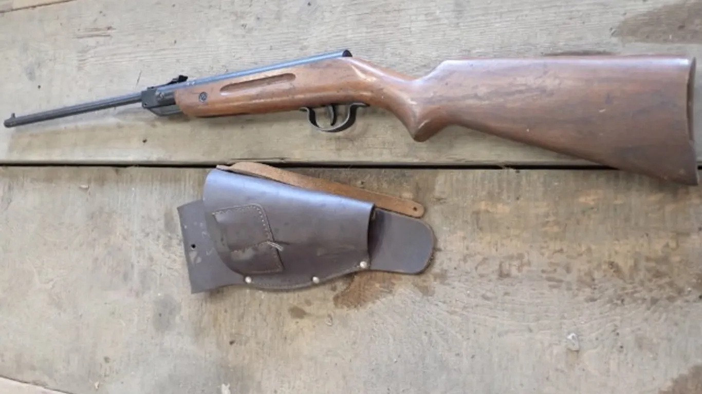 Air Rifle/Pellet Gun