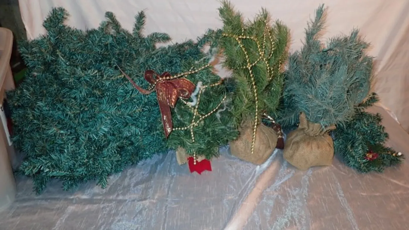 Garland and Trees