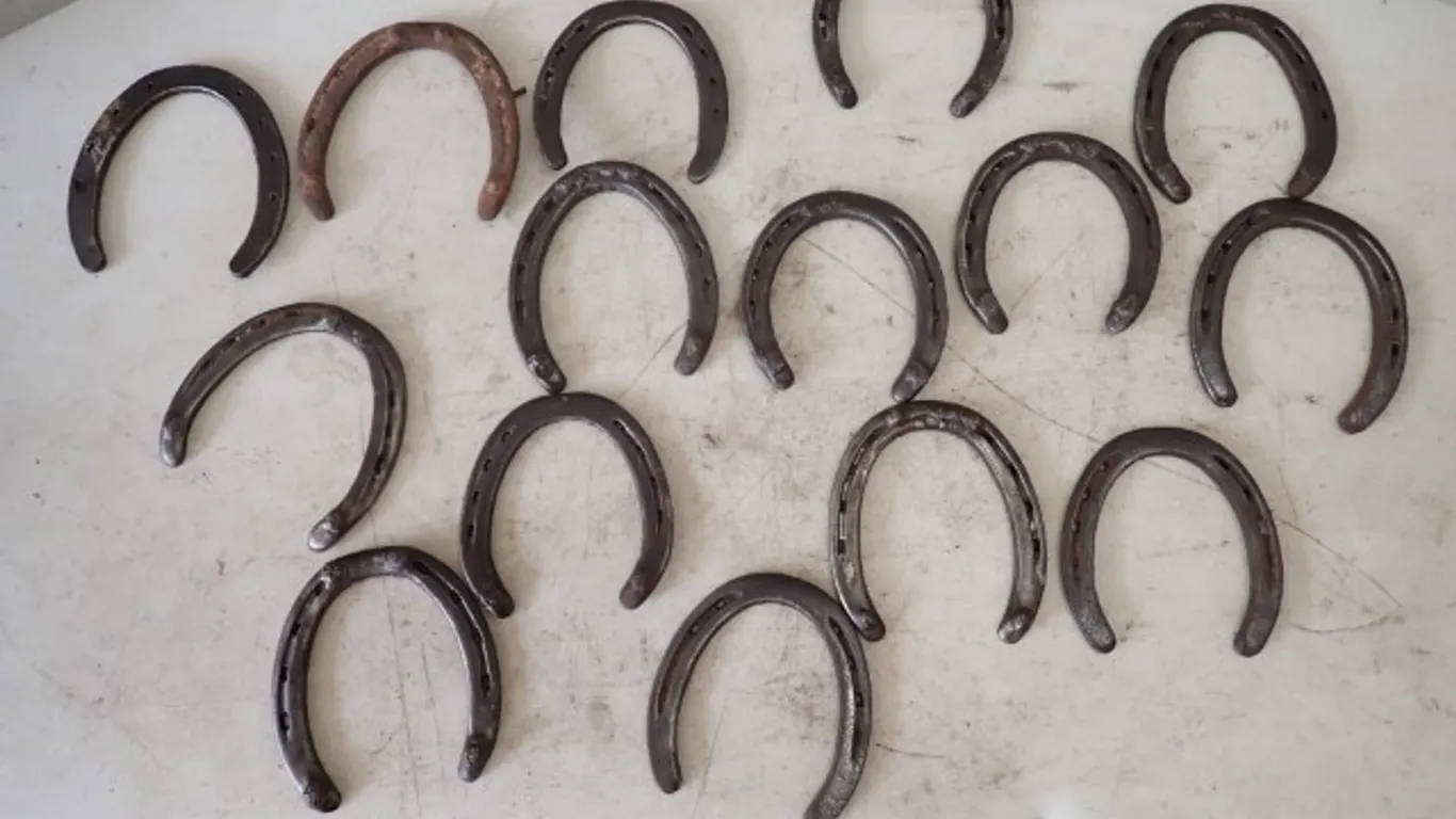 Used Metal Horseshoes Collection