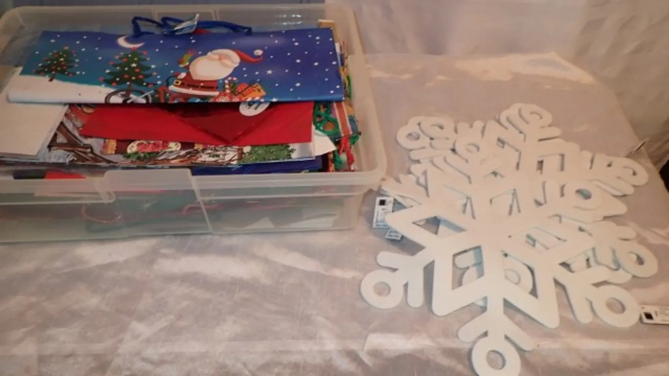 Christmas Bags and Tissue