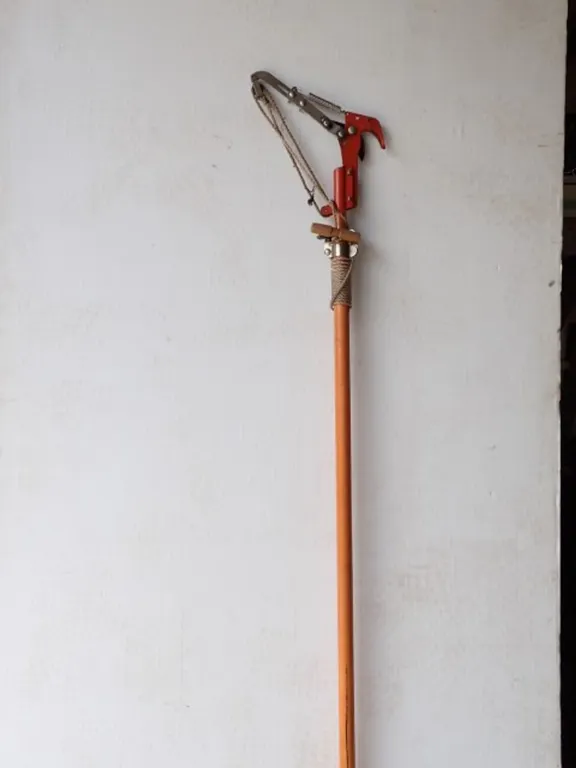 Manual Pole Tree Pruner