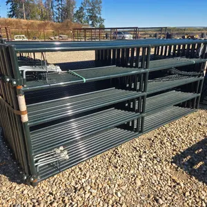 2- 10 Foot Steel Swinging Gates (Unused)