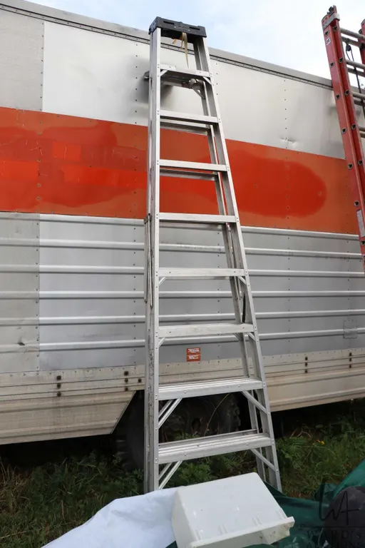 Werner 300lbs step ladder