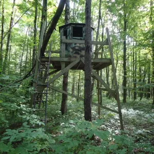 Hunters Octagon Tree Stand