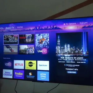 TCL 55" Flat Screen Television