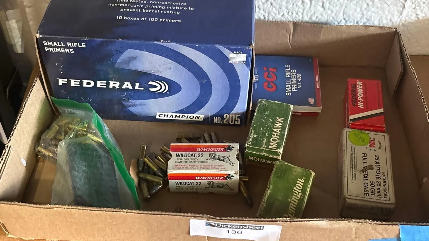 22 CAL AMMUNITION LOT