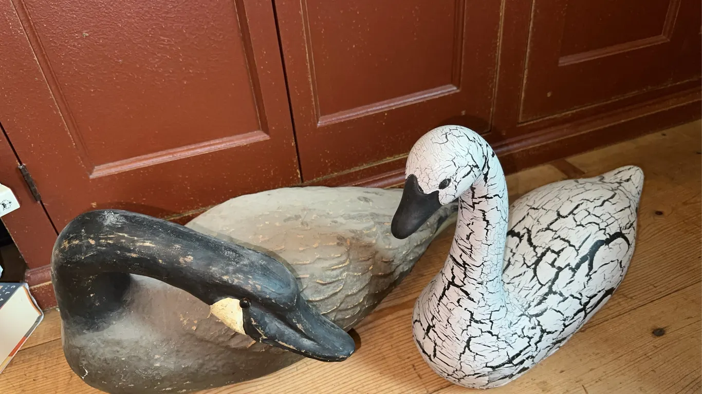 Geese, duck + swan decor