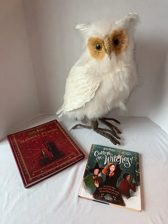 Harry Potter books and large feathered white owl