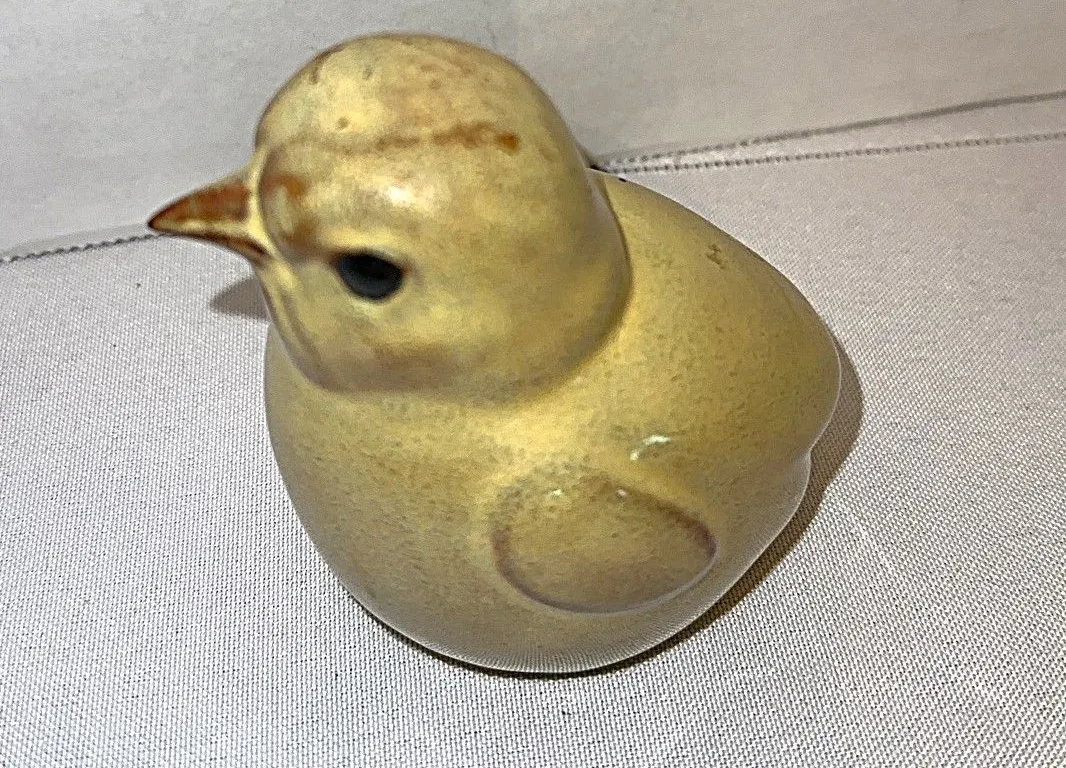 Rare Nicodemus-baby chick