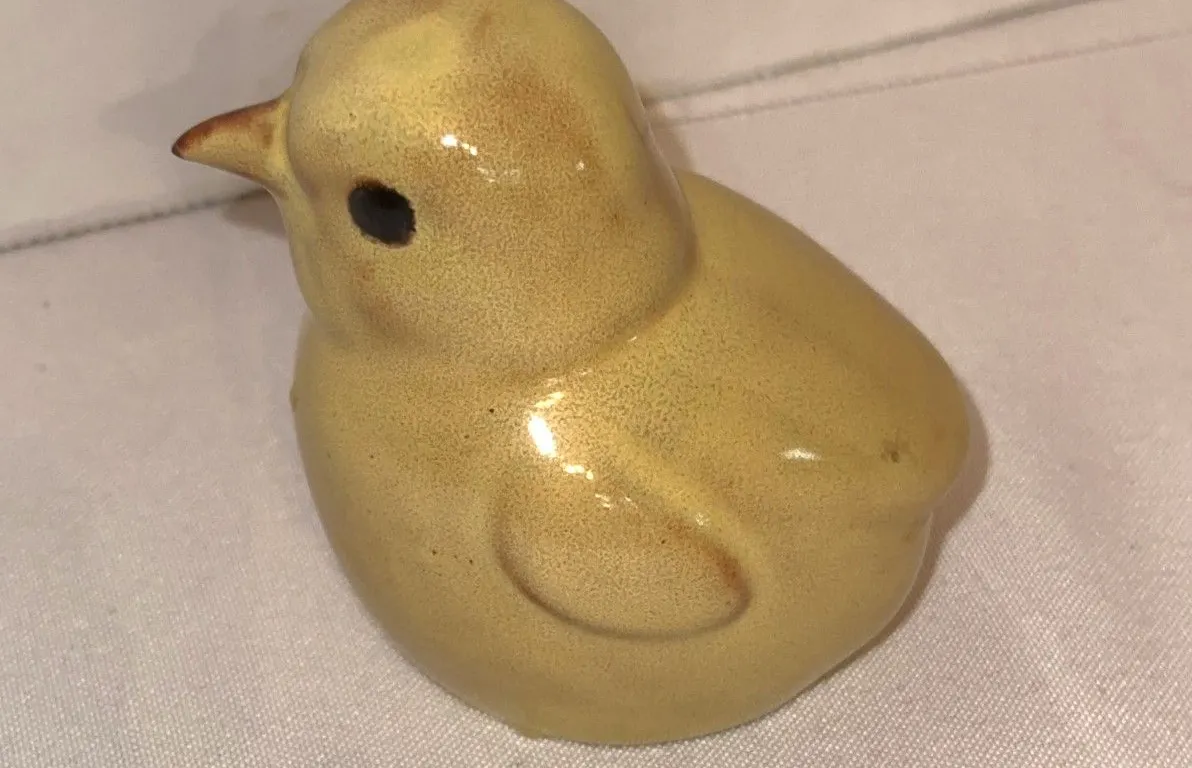 Rare Nicodemus baby chick