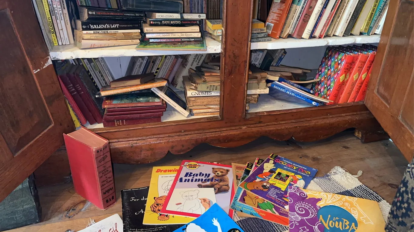 Book - mixed lot - old + new