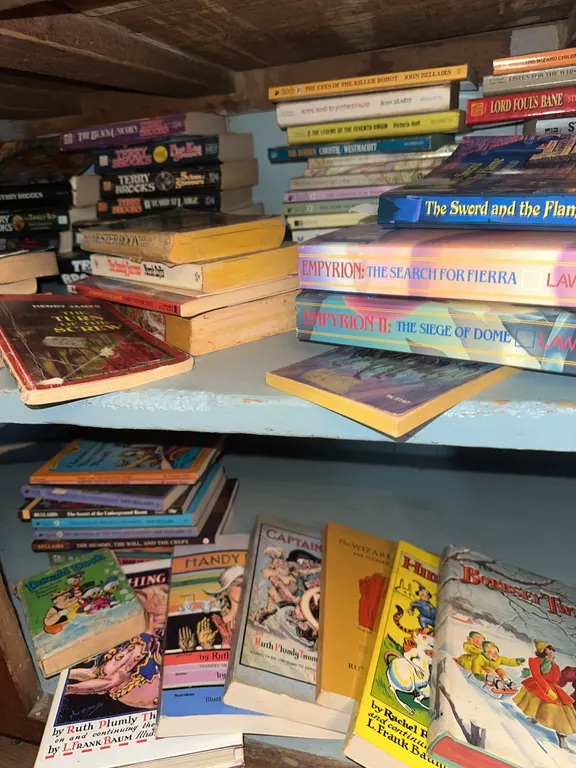 Cupboard full of books