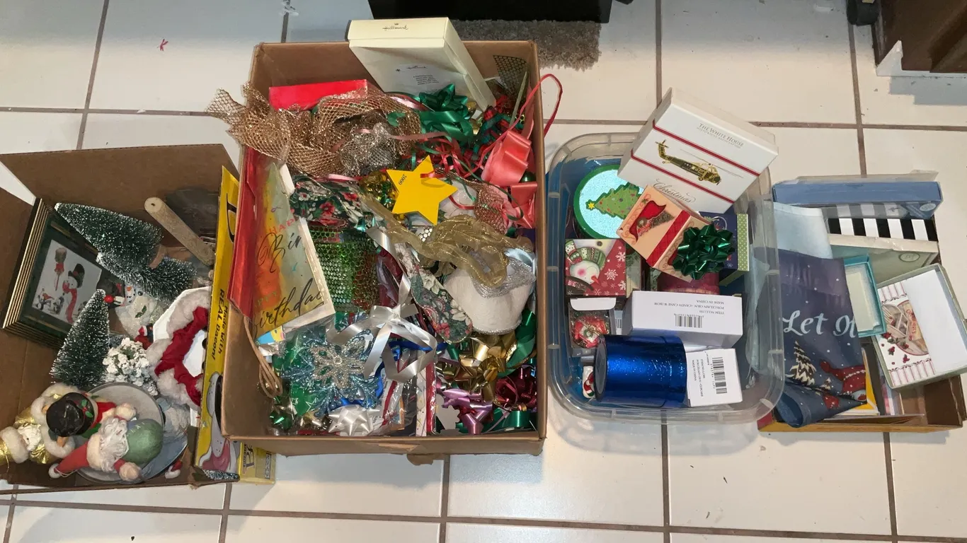 Christmas Surprise Lot