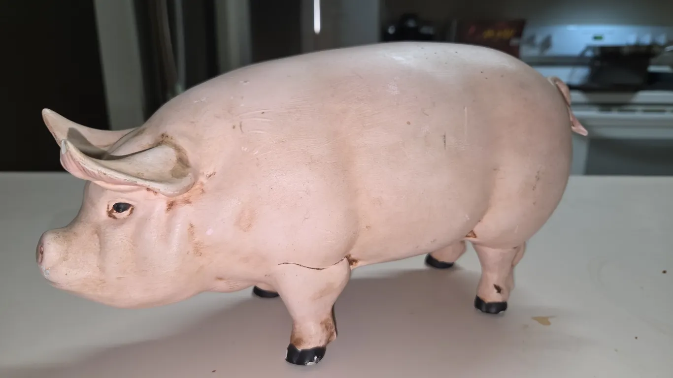 Piggy bank