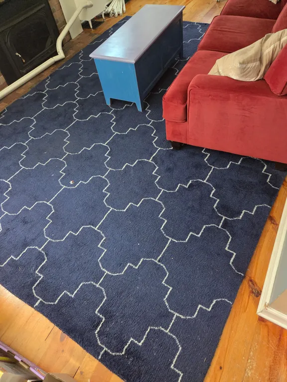 Large Area rug
