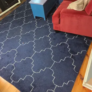 Large Area rug