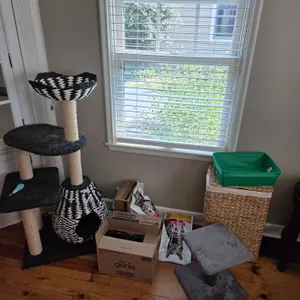 Group of cat related items