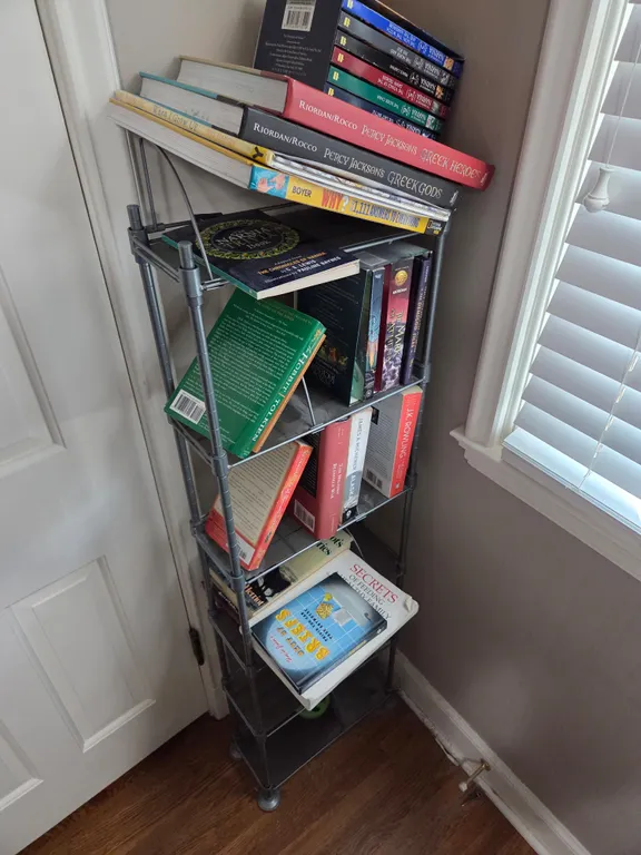 Book shelf with books