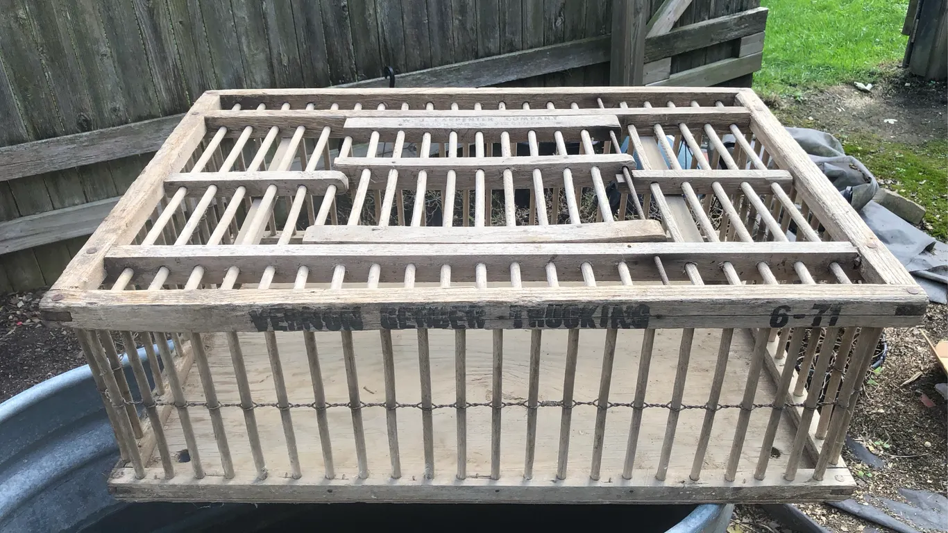 Antique Chicken Carrier