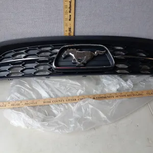 New Ford Grill DR3Z-8200-CA