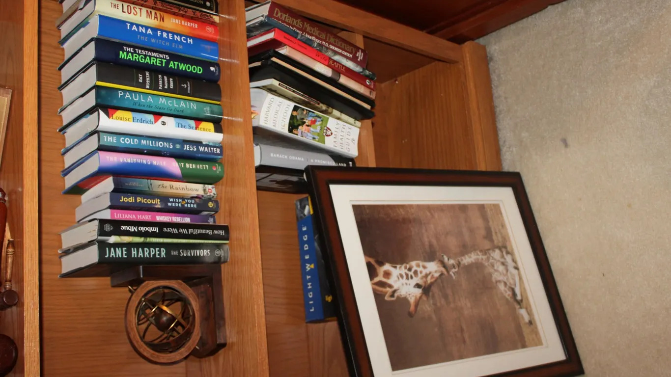 Books, Giraffe Art & Décor