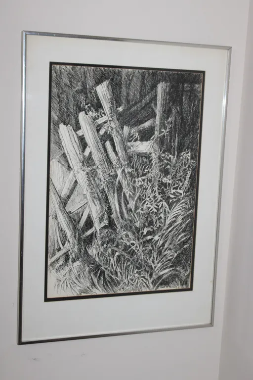 Carol M. Hershey Botanical Pen & Ink Art