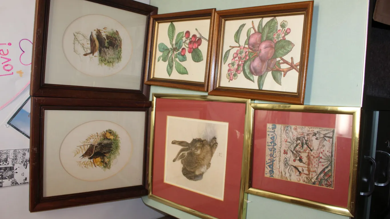 Wildlife & Botanical Artwork