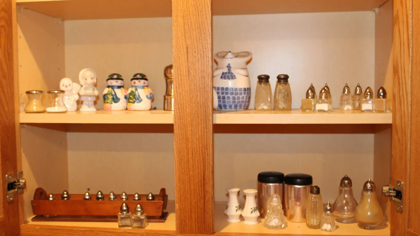 Salt & Pepper Shaker Collection
