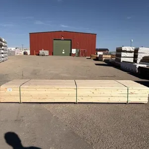 2x4x12 SPF Appearance/J Grade