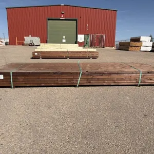 2x4 MCA Brown PT S4S 10'