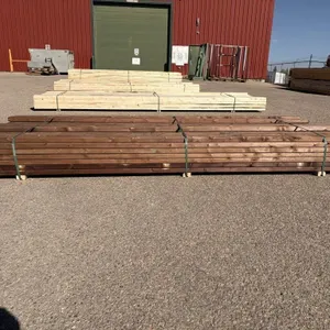 2x4 MCA Brown PT S4S 10'