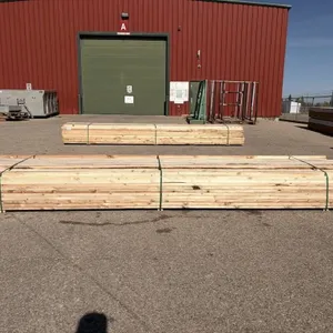 2x4 SPF Economy HT S4S 16'