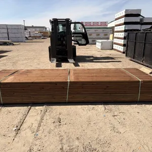 2x6 CA-B Brown PT S4S 12'