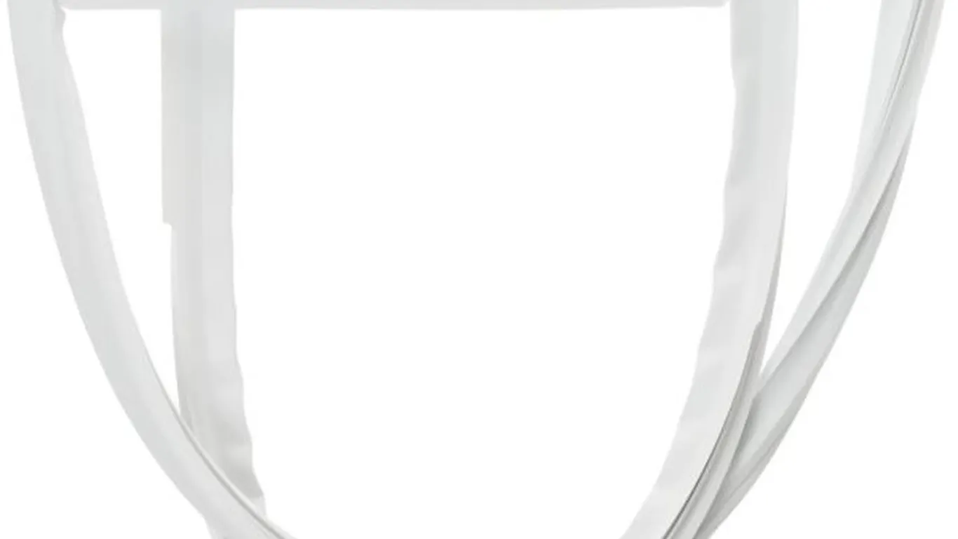 GE WR14X10282 Refrigerator Door Gasket