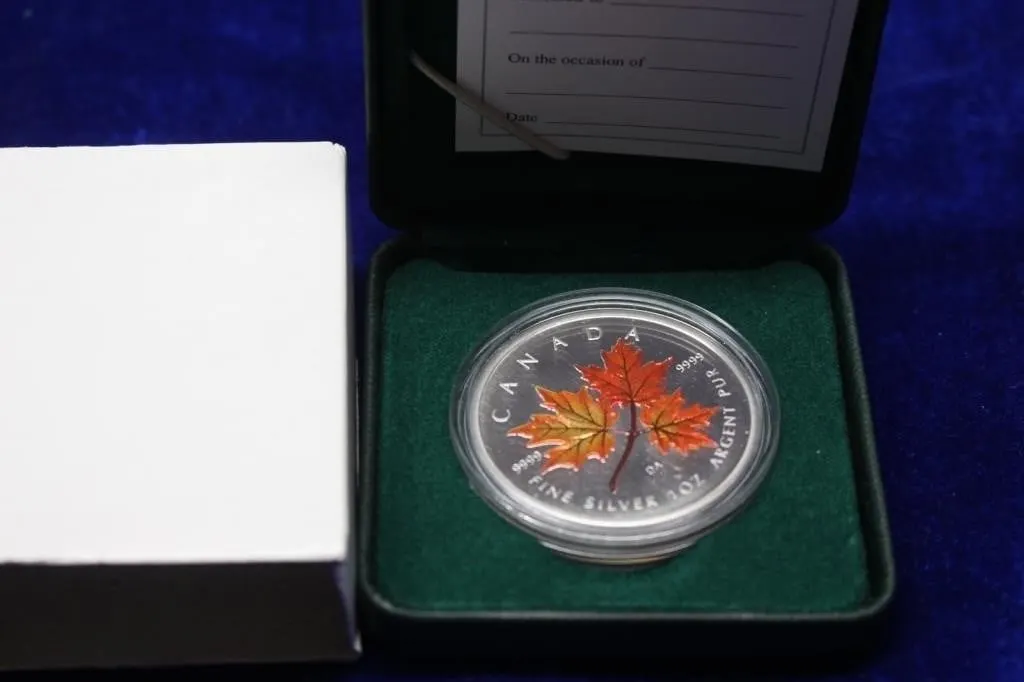 Canada 2001 Coloured Maple Leaf 1oz Fine Silver